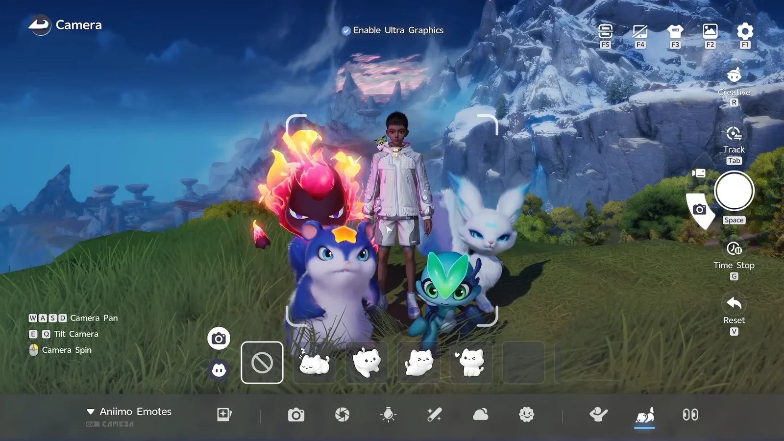 Setting Animo Emotes