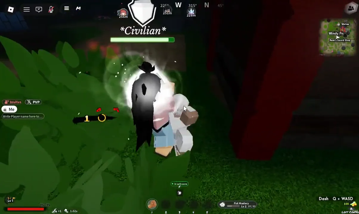 Combat Demonstration