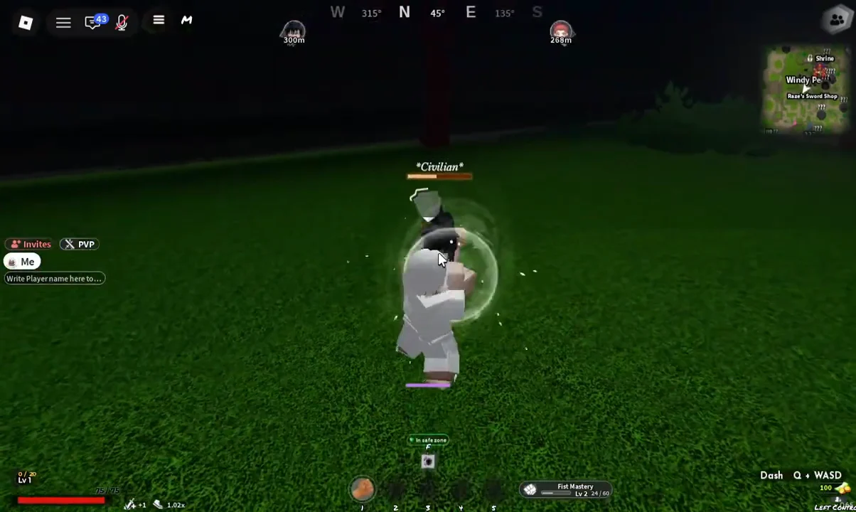 Combat Demonstration