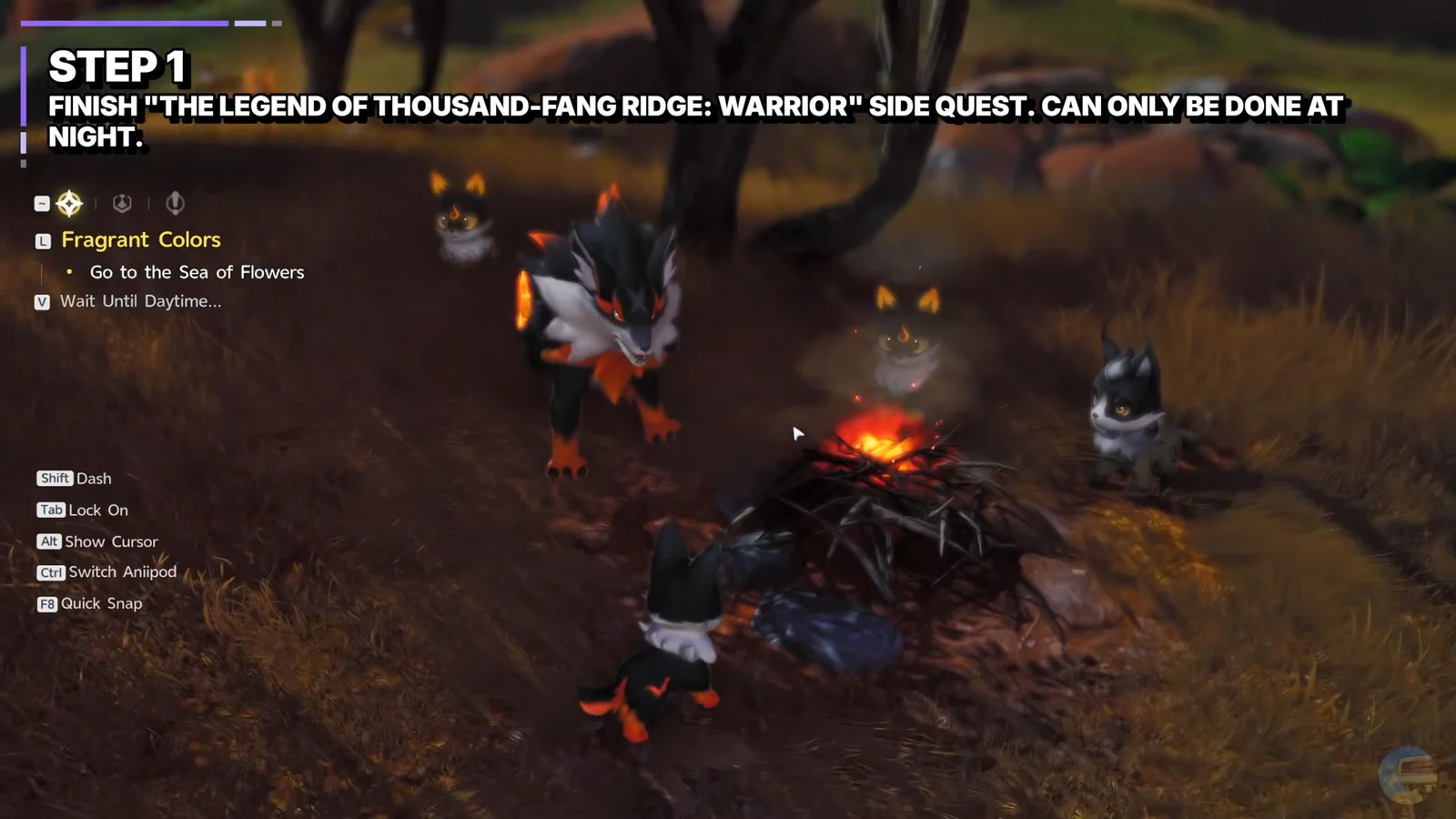 Interacting with Flameruffs