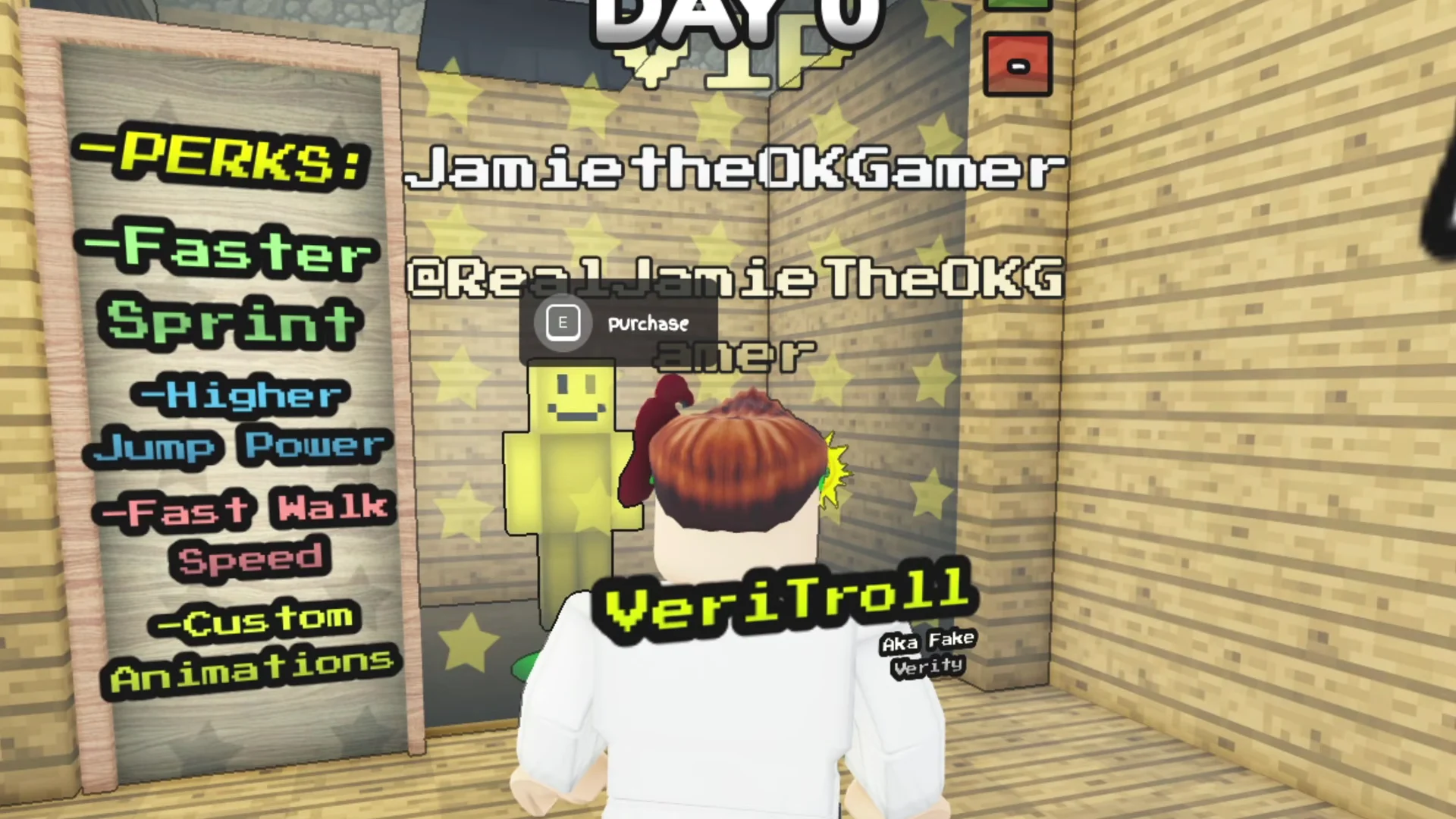 VeriTroll Booth & Perks