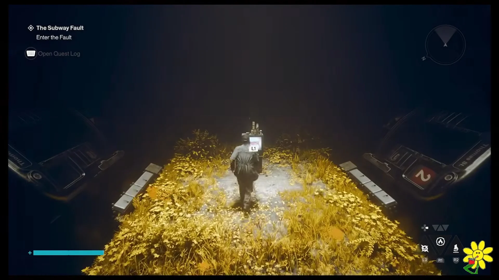Entering the Fault