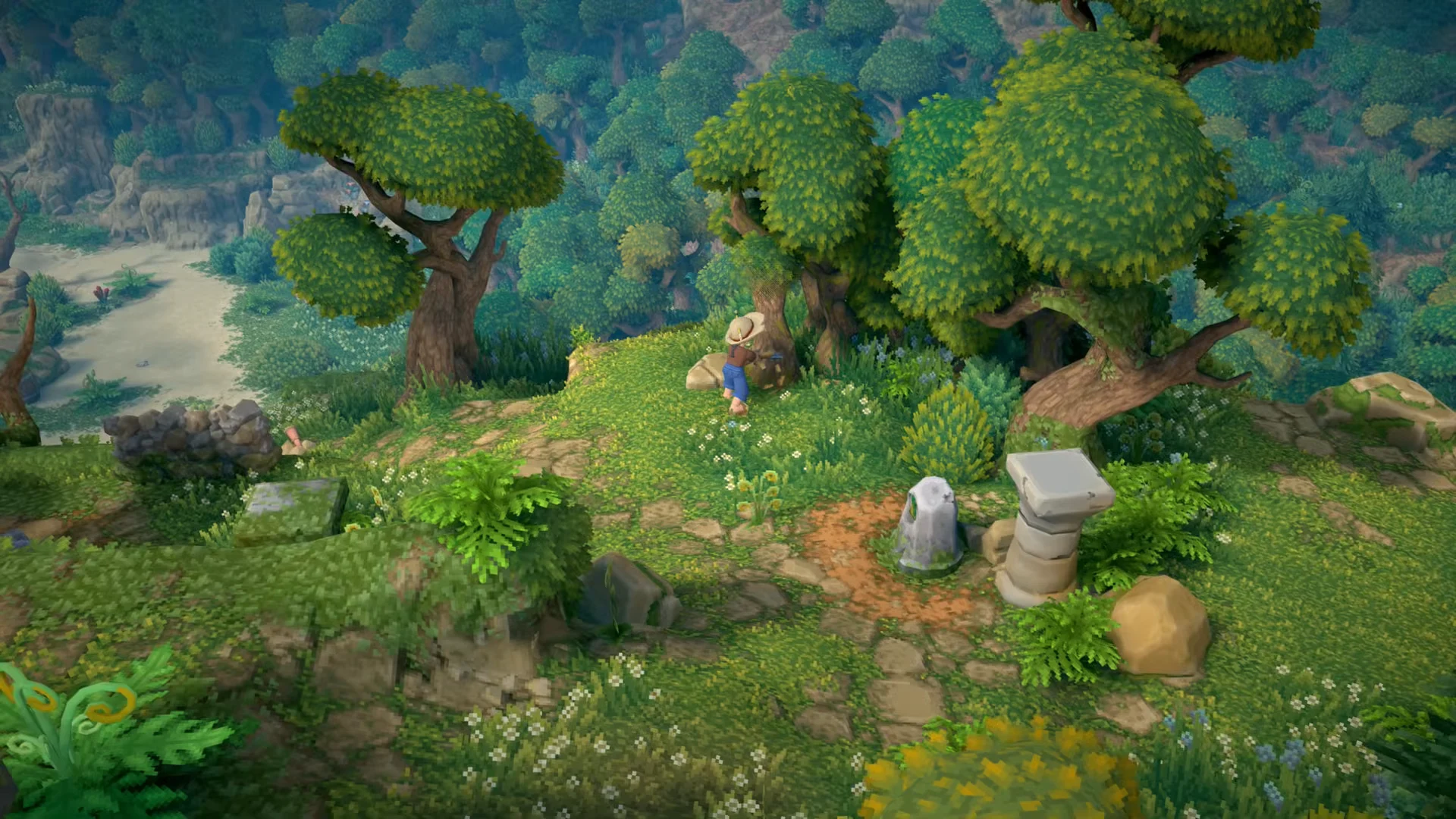 Mountain overlook