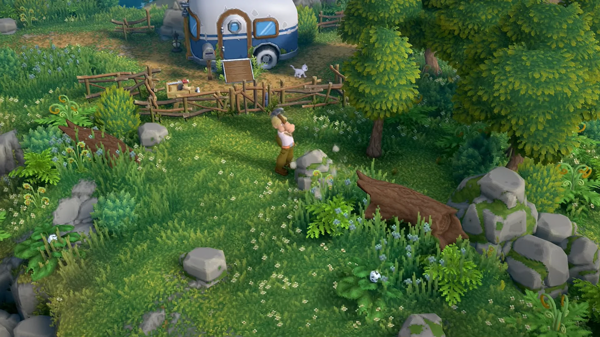Camp clearing