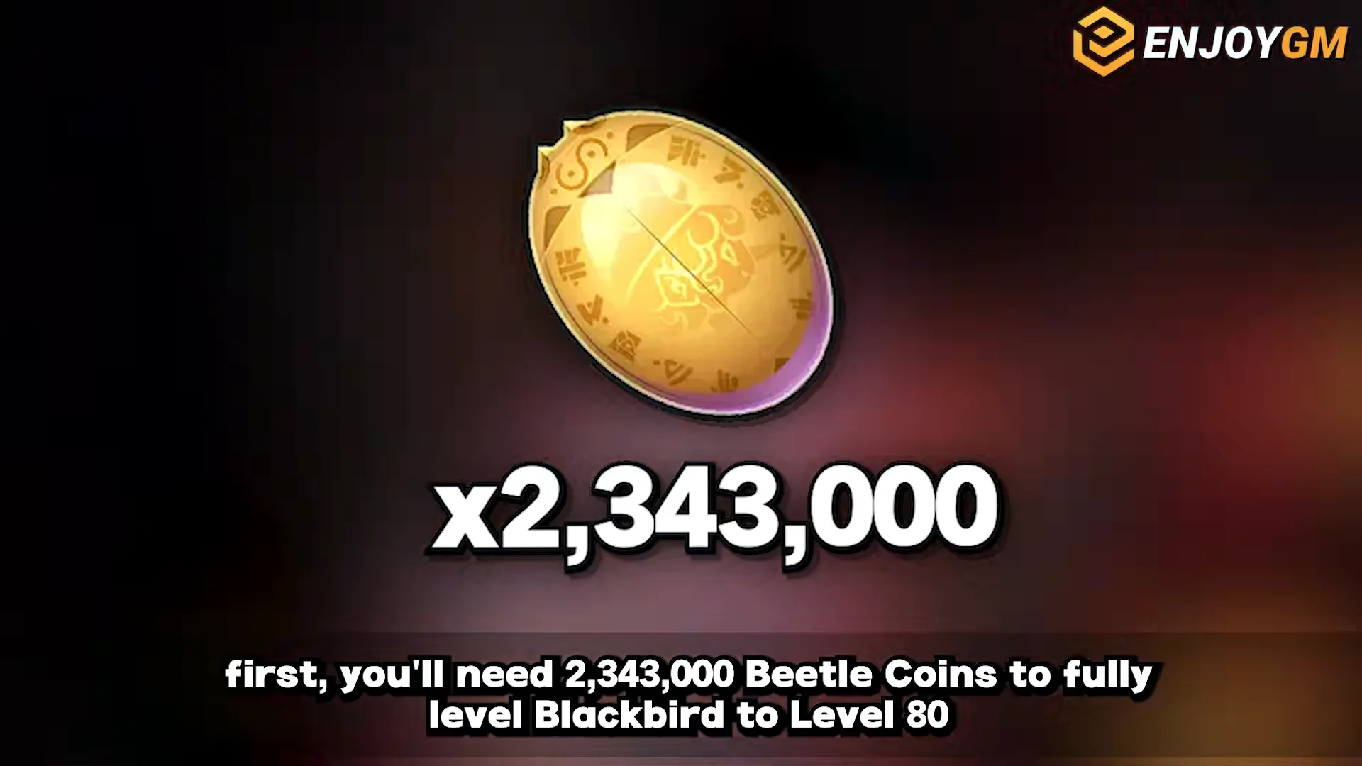 Beetle Coins Requirement
