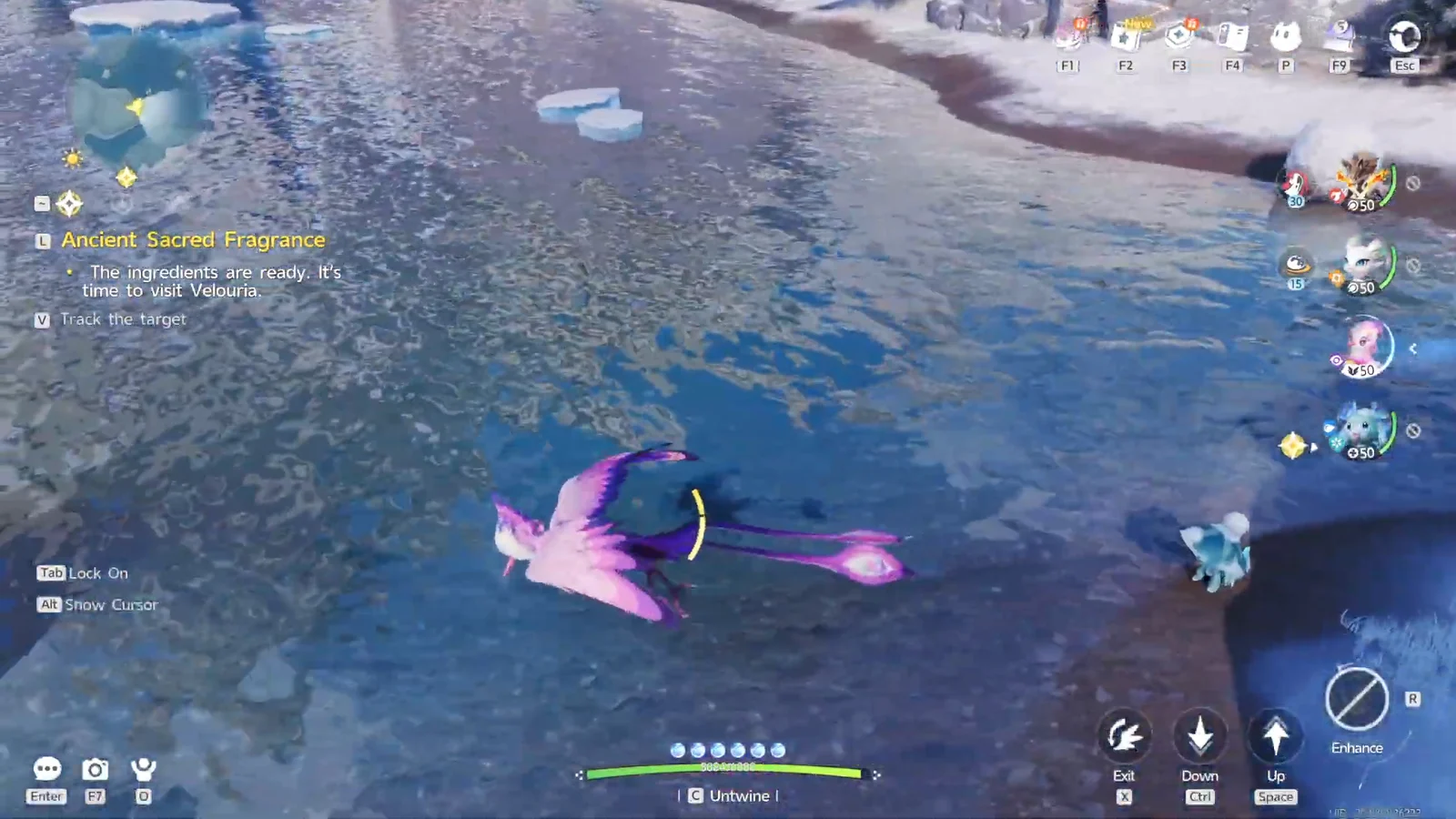 Flying Over the Frozen Lake