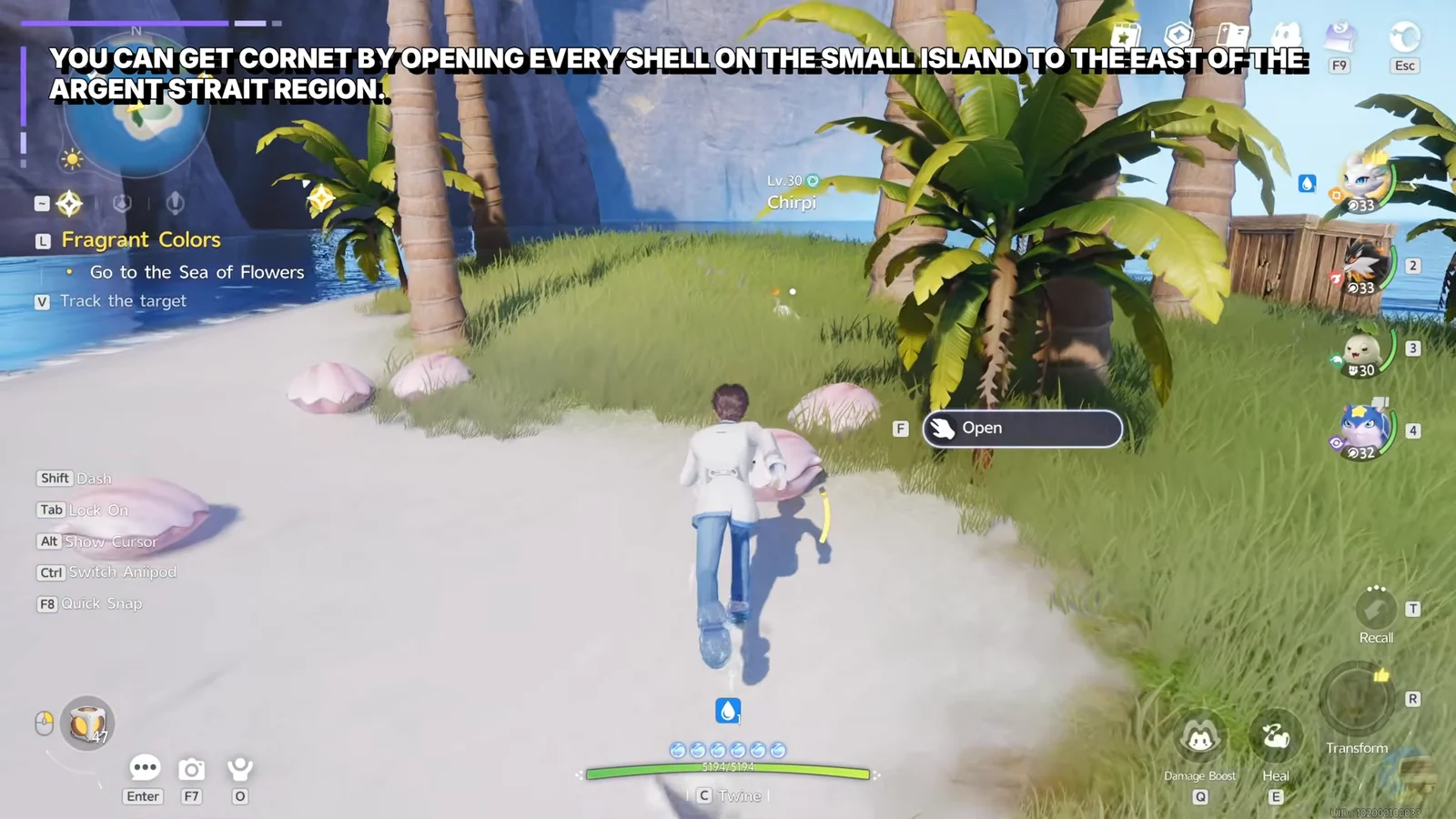 Opening giant shells on the beach