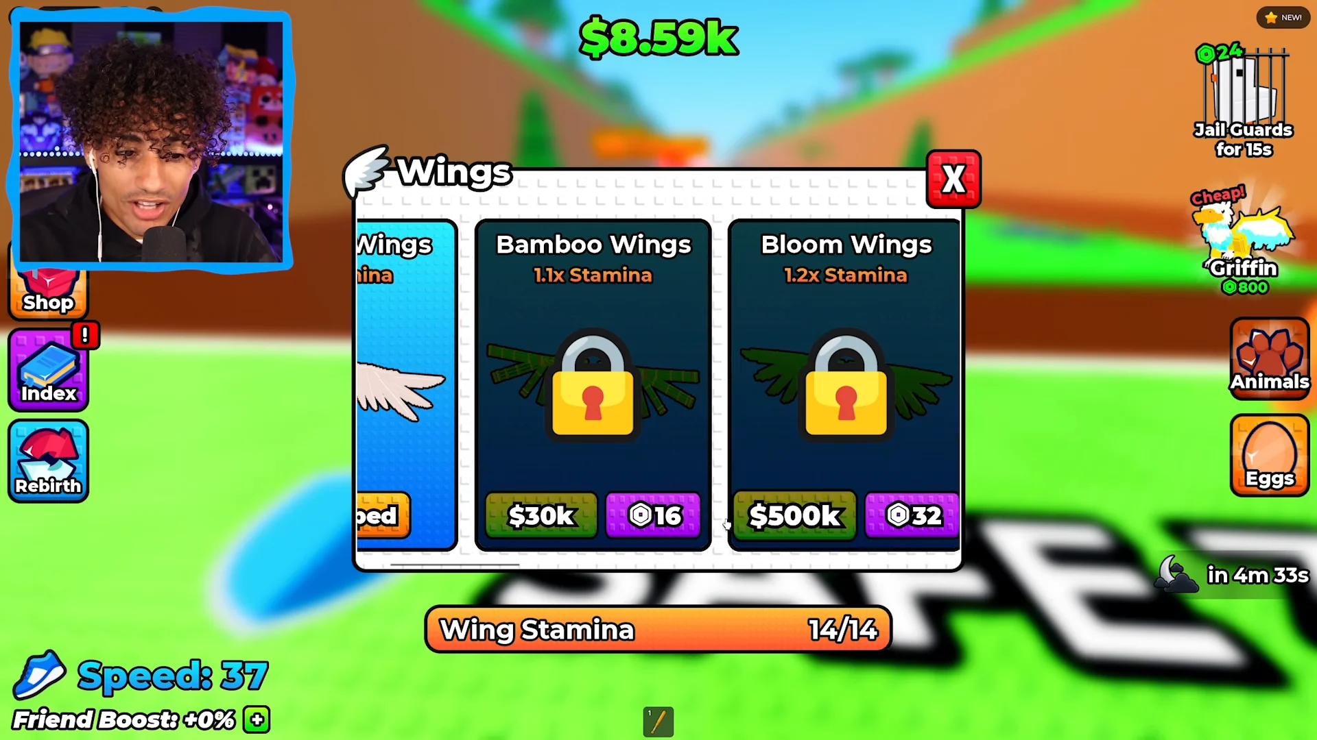 Upgrades & Wings Shop Overview