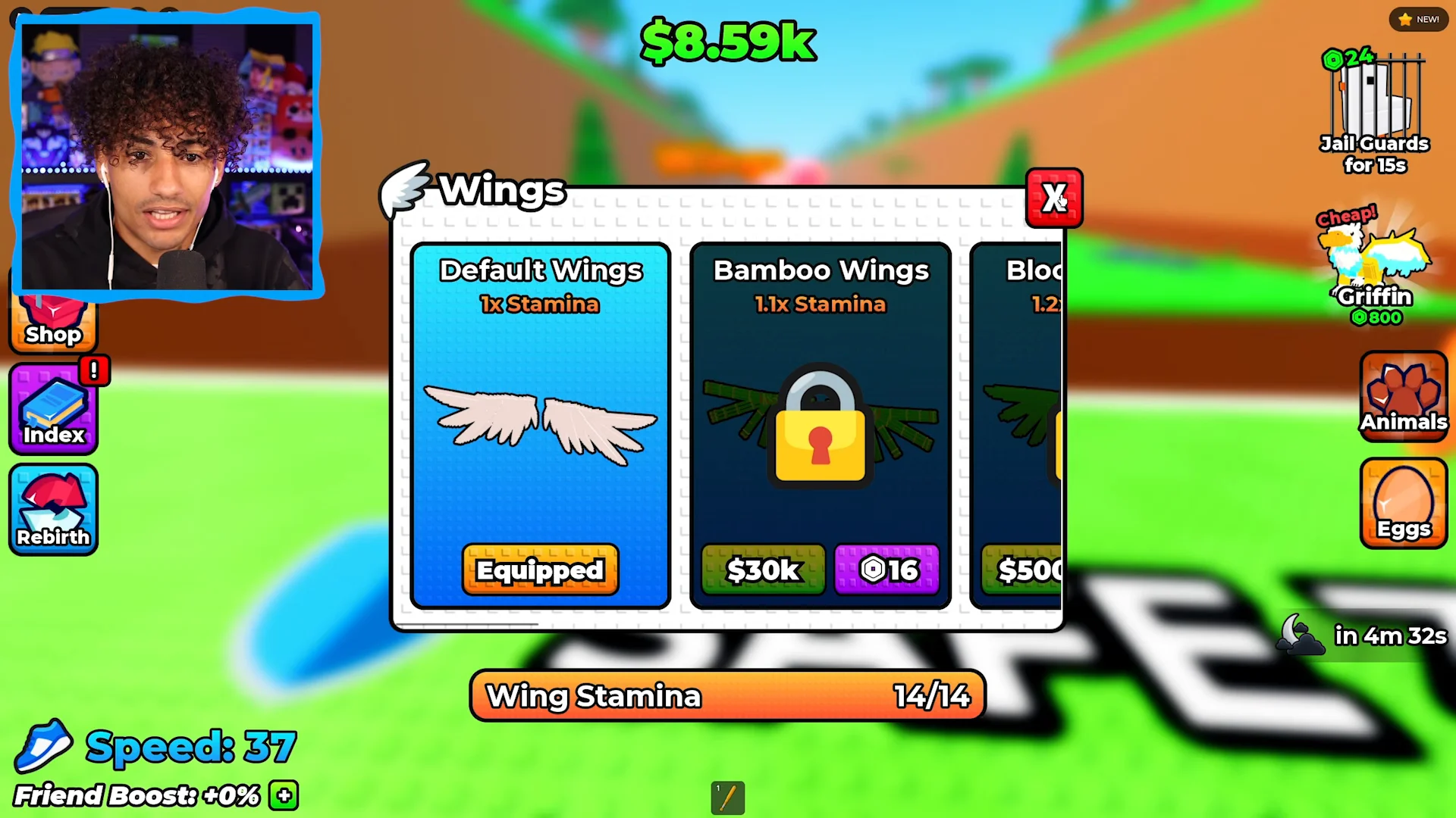Browsing Wings Shop