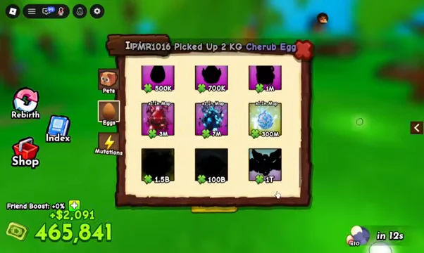 Viewing Pet Index Menu