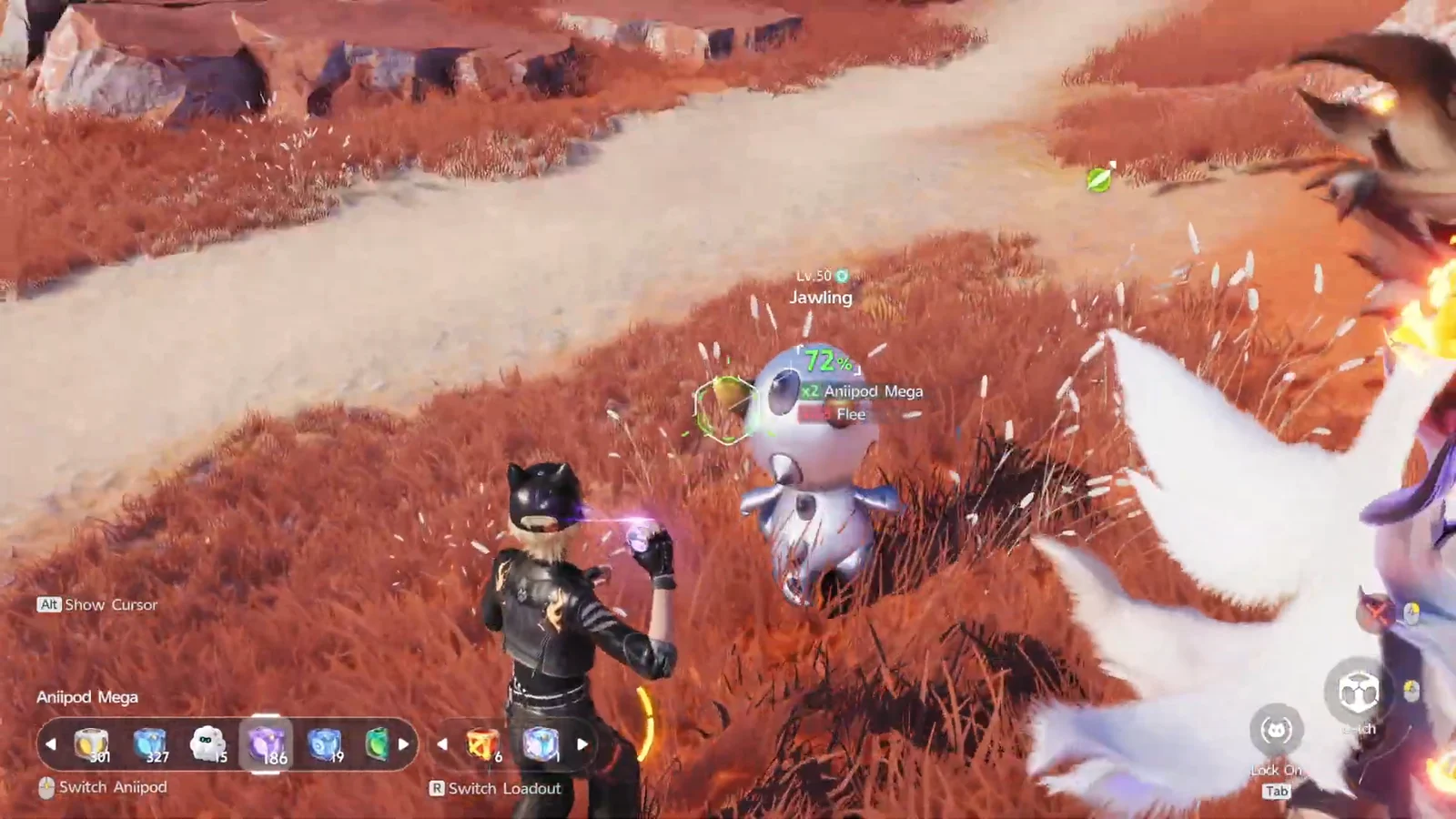 Spotting a Helmwhelp pack
