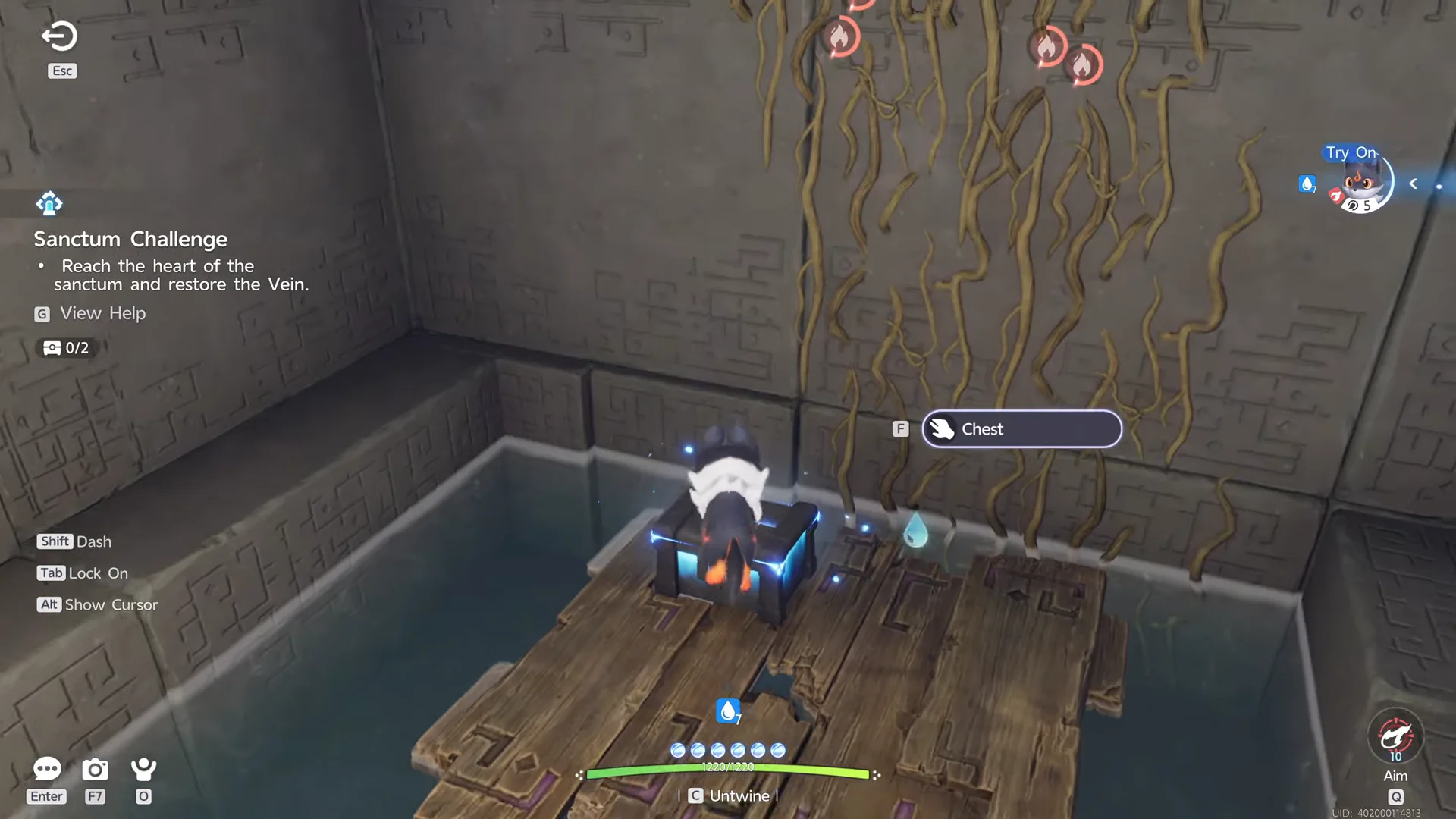 Burning Platform for Chest 1