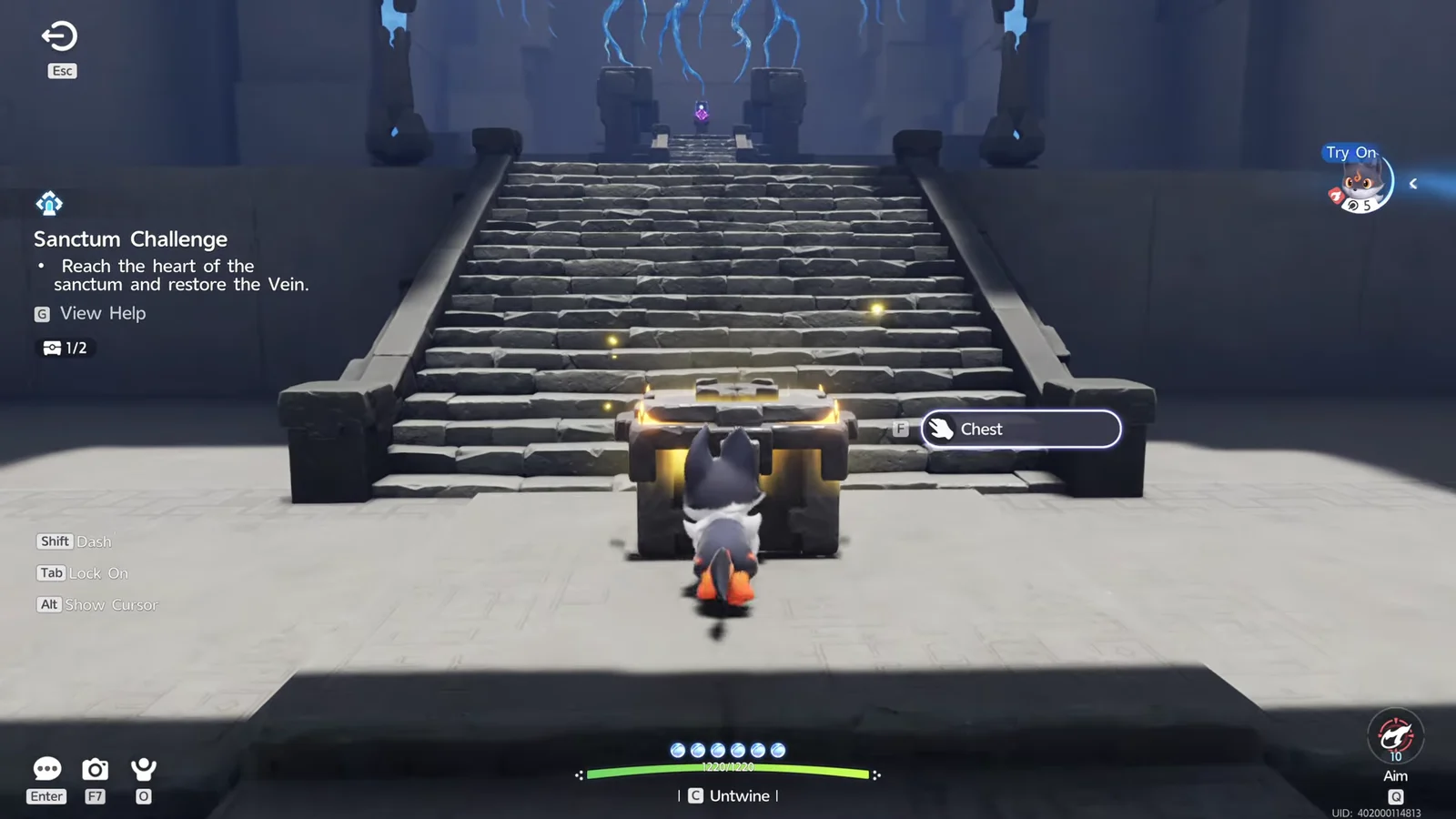 Collecting the Final Chest