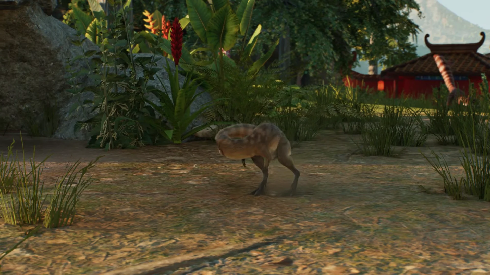 Dust Bath Animation