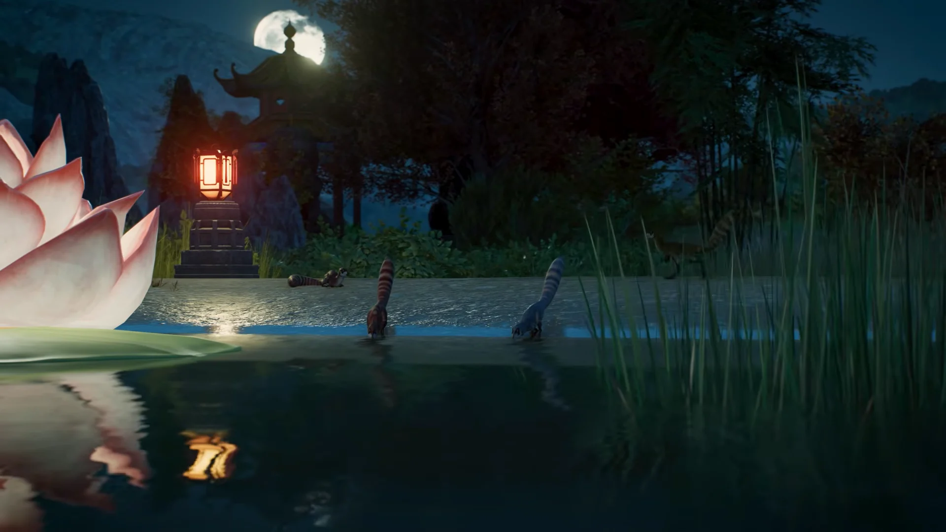Nighttime Pond View