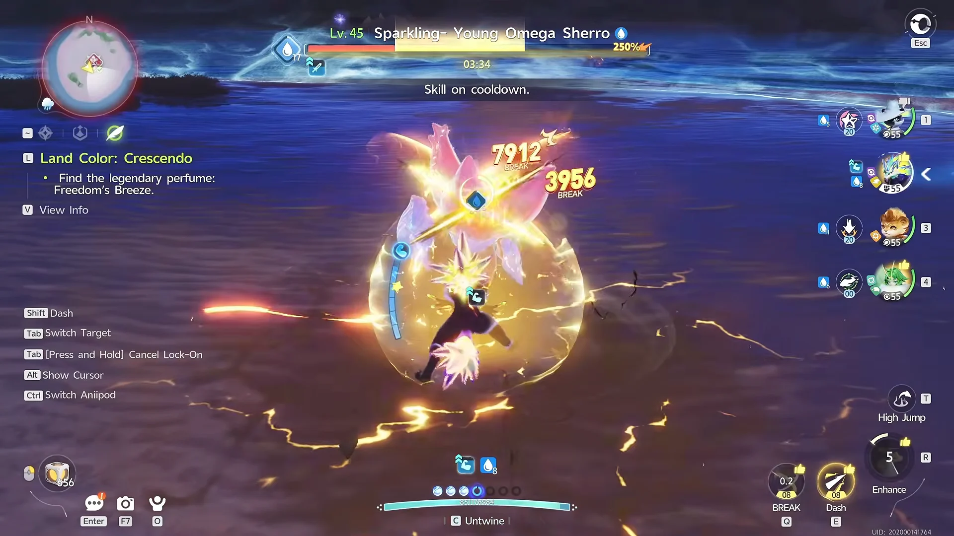 Combat & In-Game Appearance