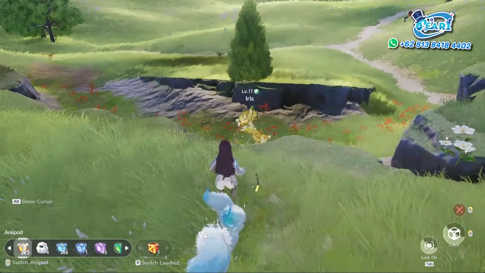 Finding Iris