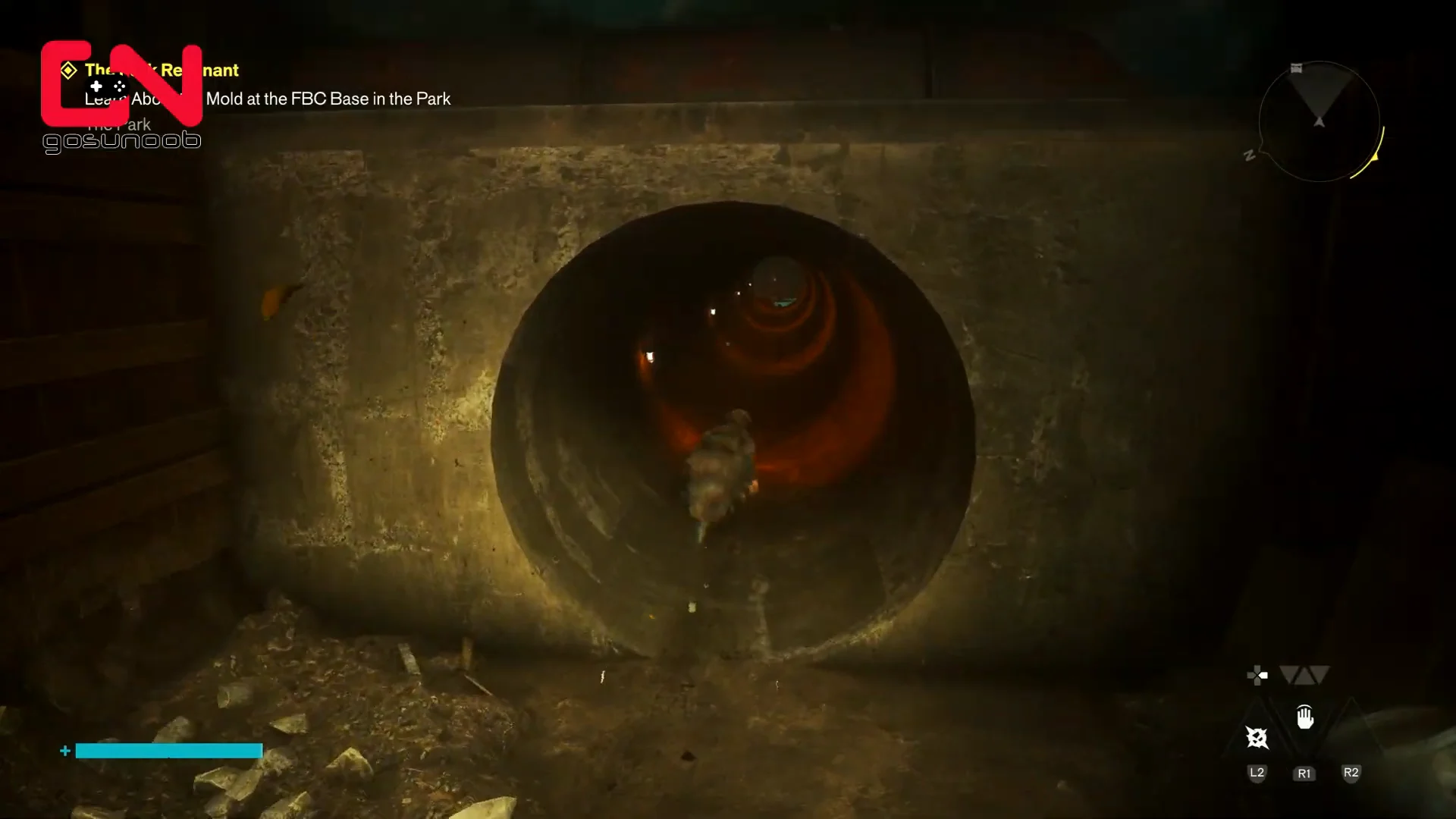 Entering Sewer Drainage Pipe