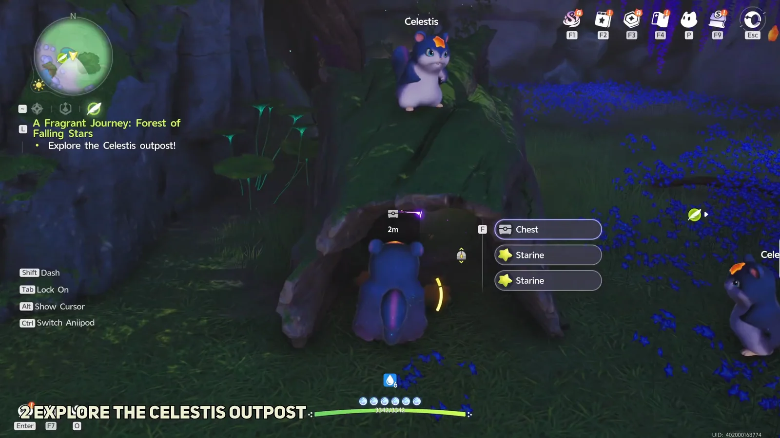 Opening Chests