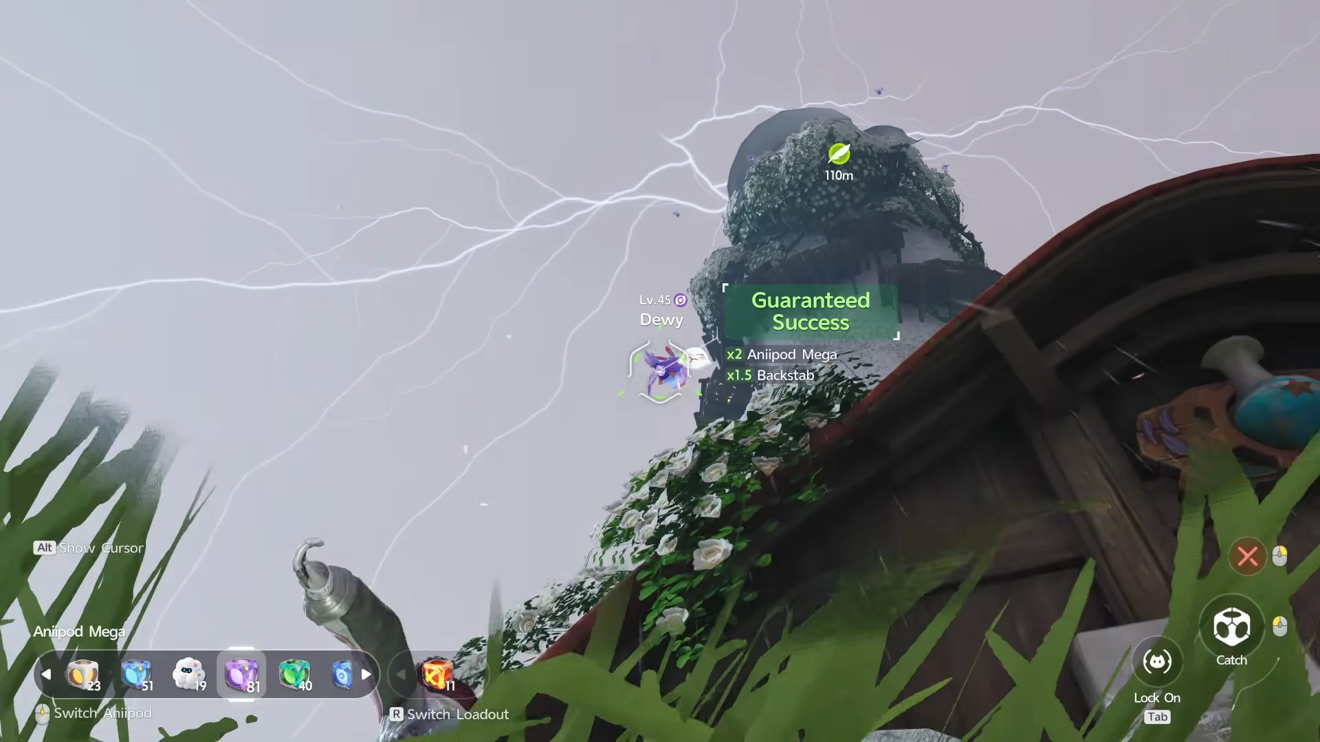 Catching Dewy