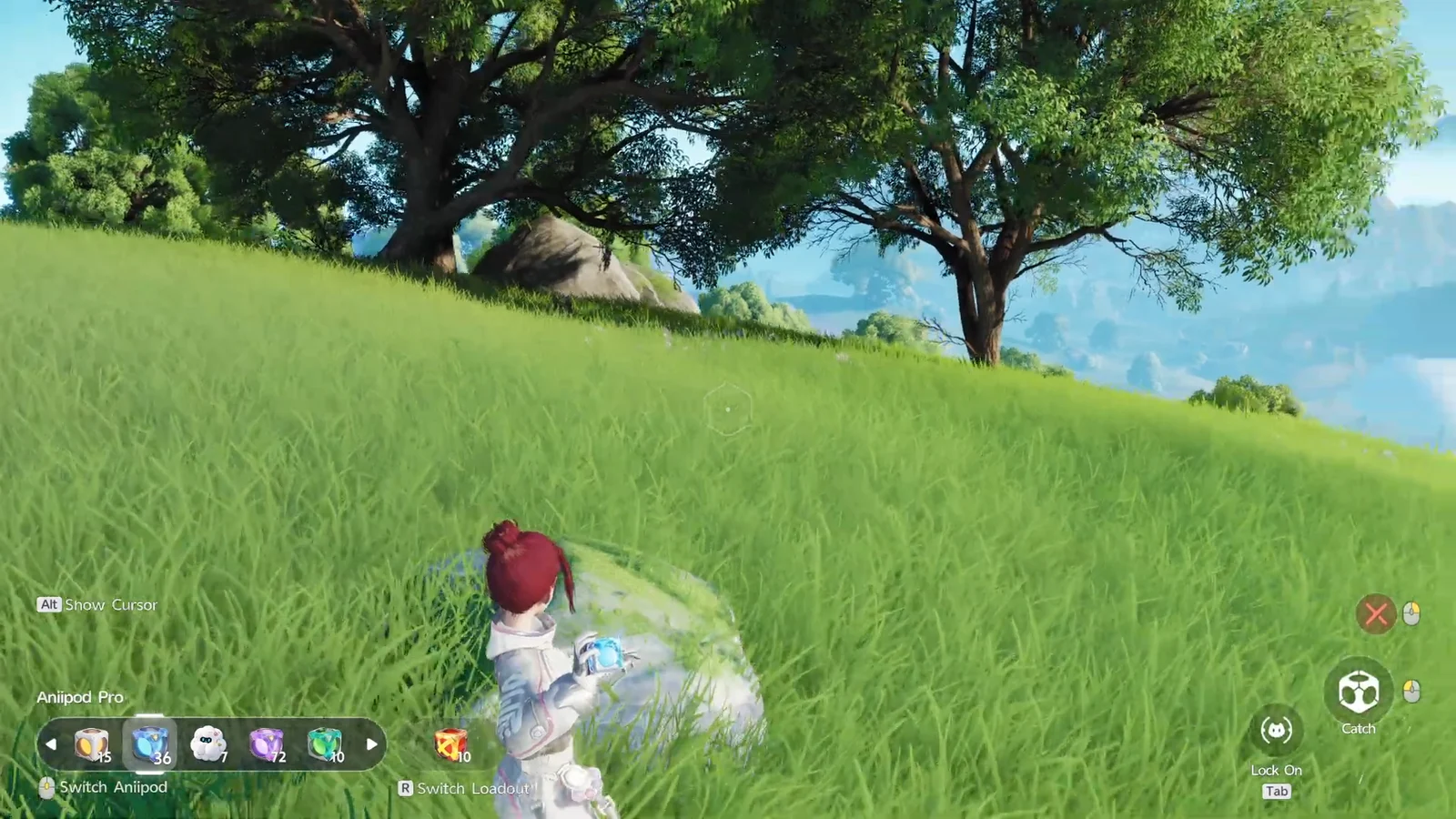 Gameplay & Map Confirmation