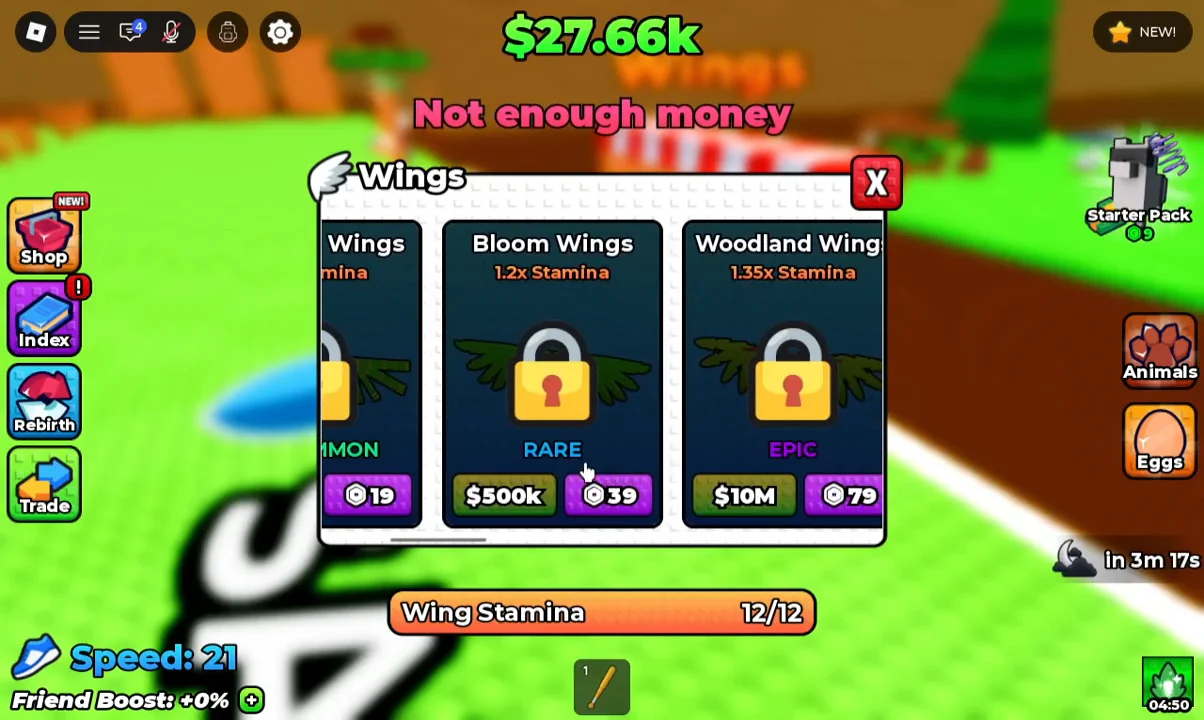 Visiting the Wings Shop