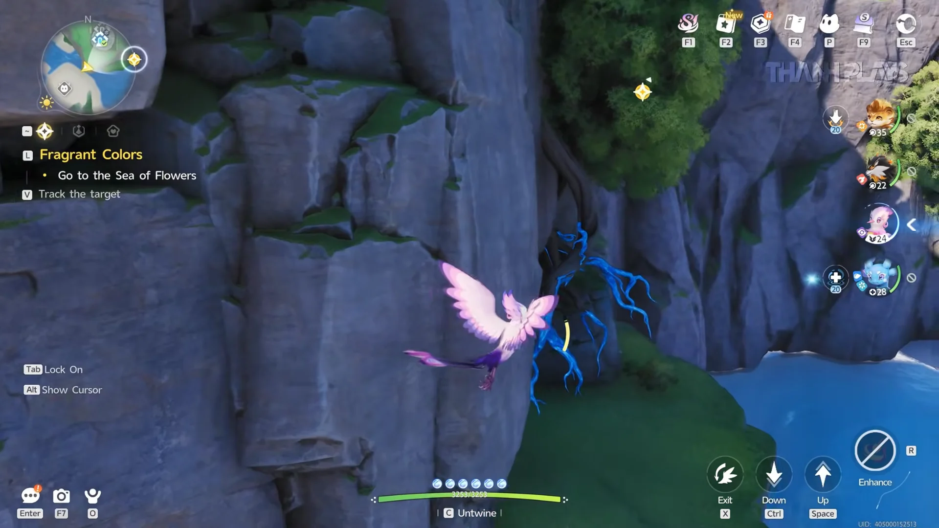 Flying to the South Cave Entrance