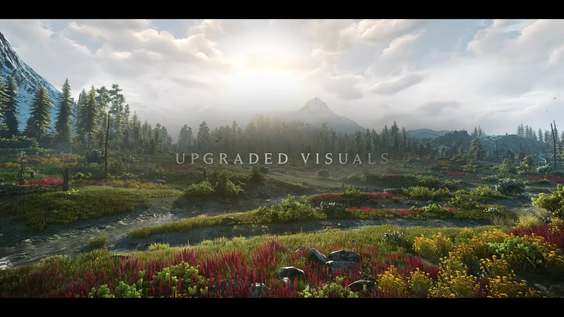 Upgraded Visuals