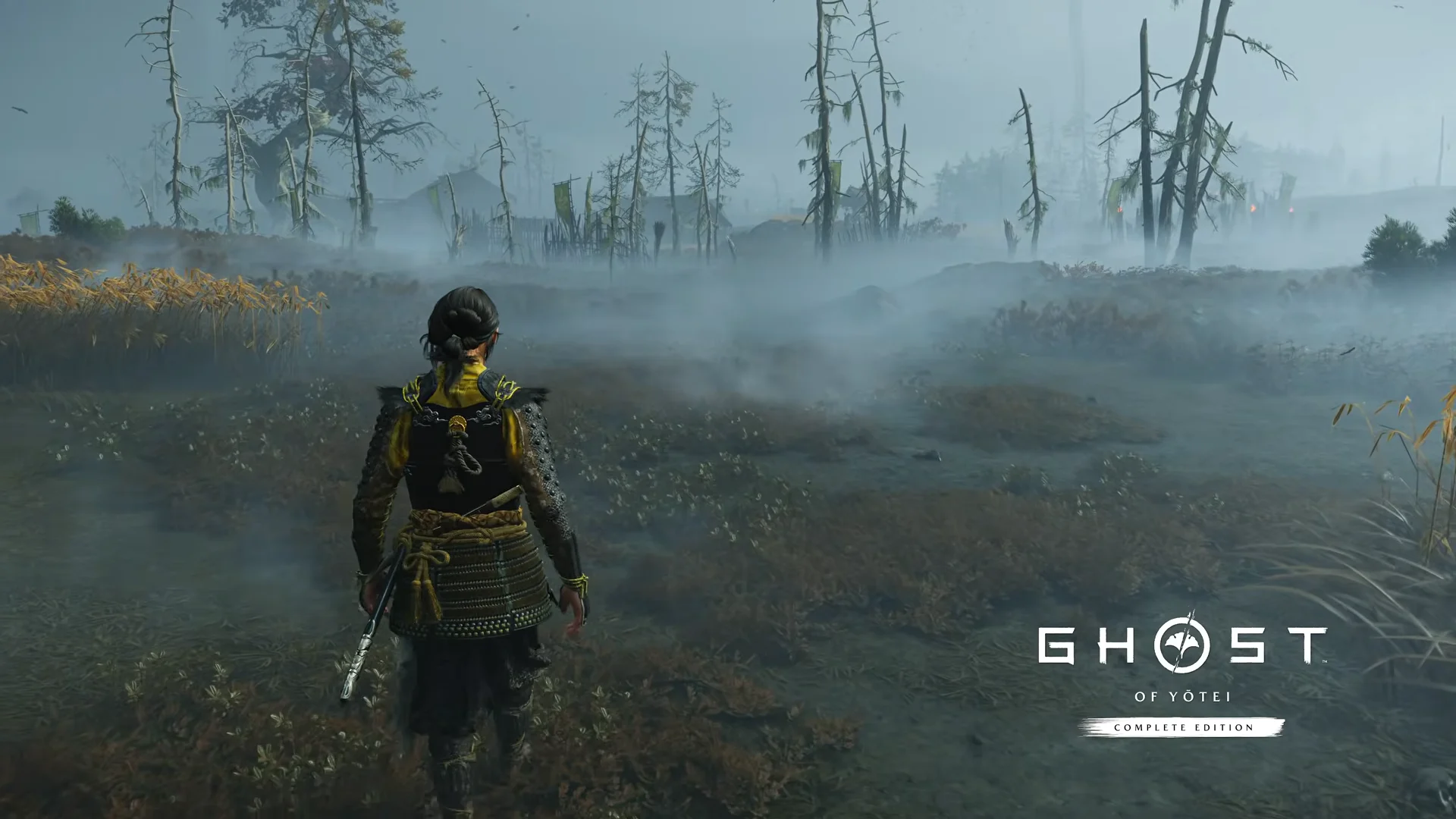 Foggy Marshlands