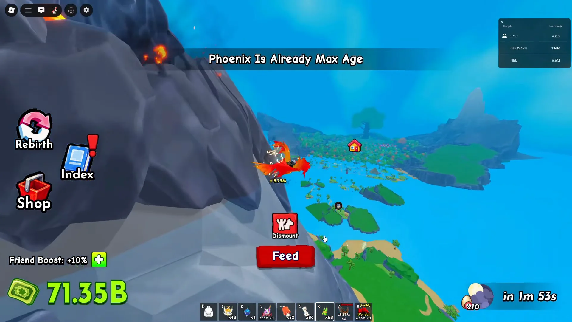 Mounting the Phoenix