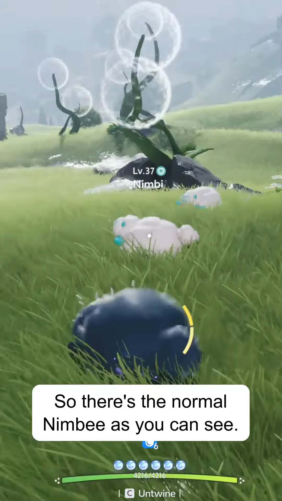 Herd Spawns