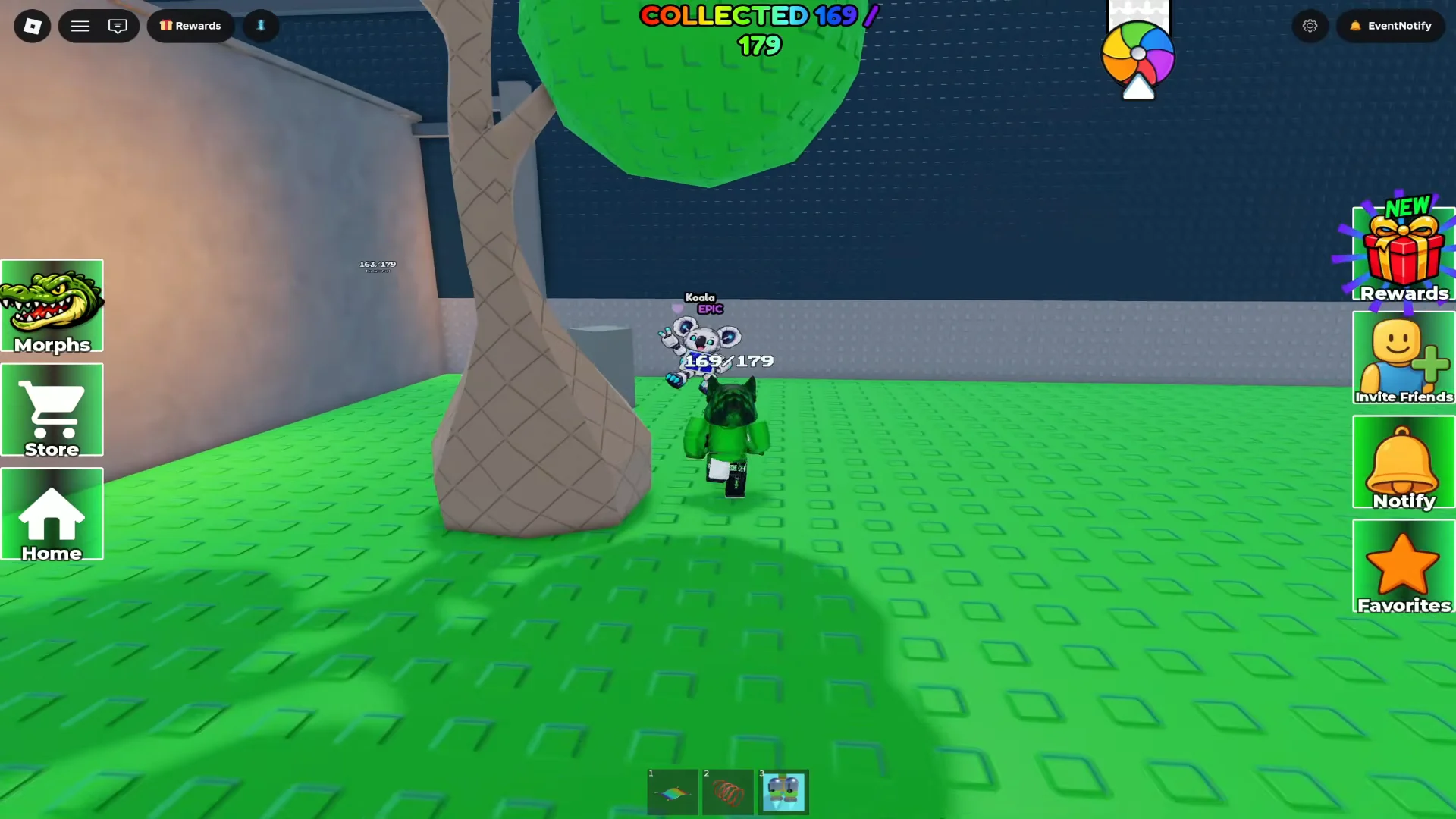 Finding Koala
