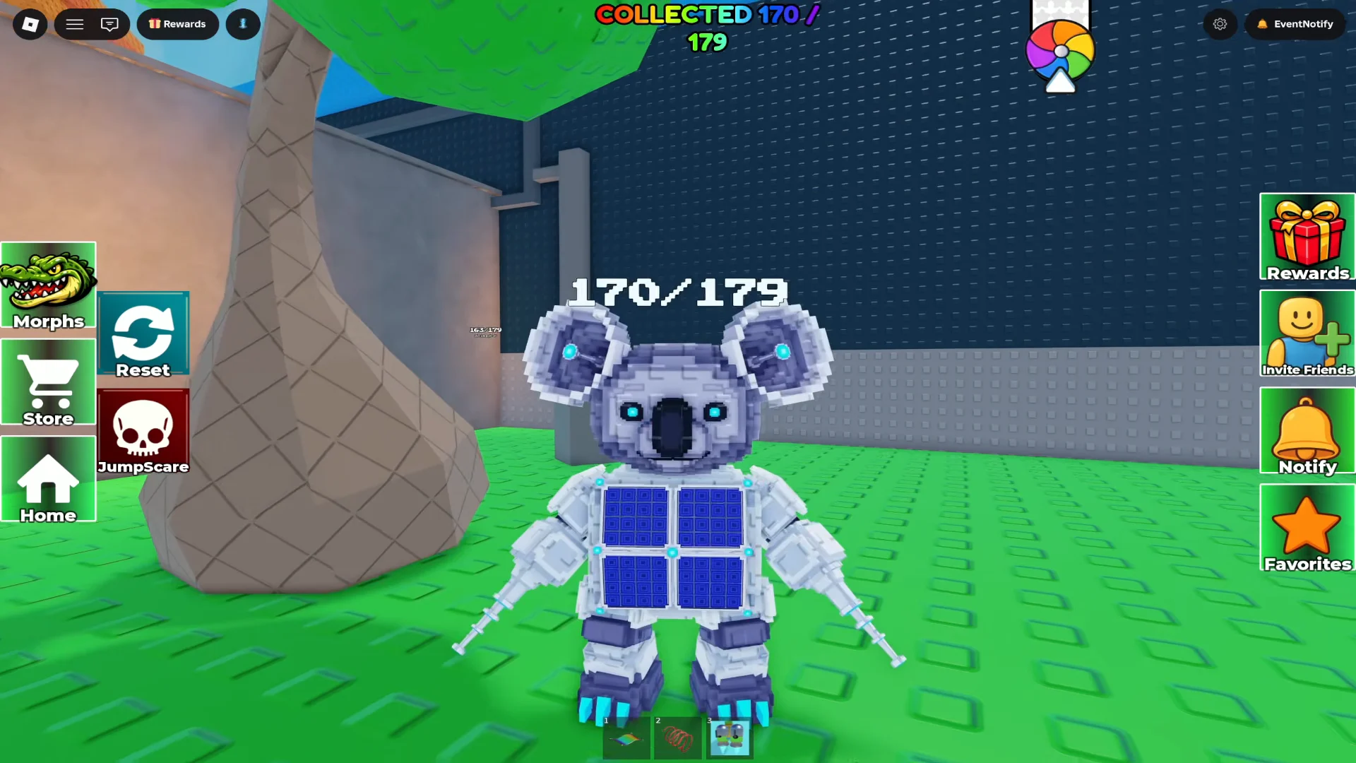 Koala Showcase