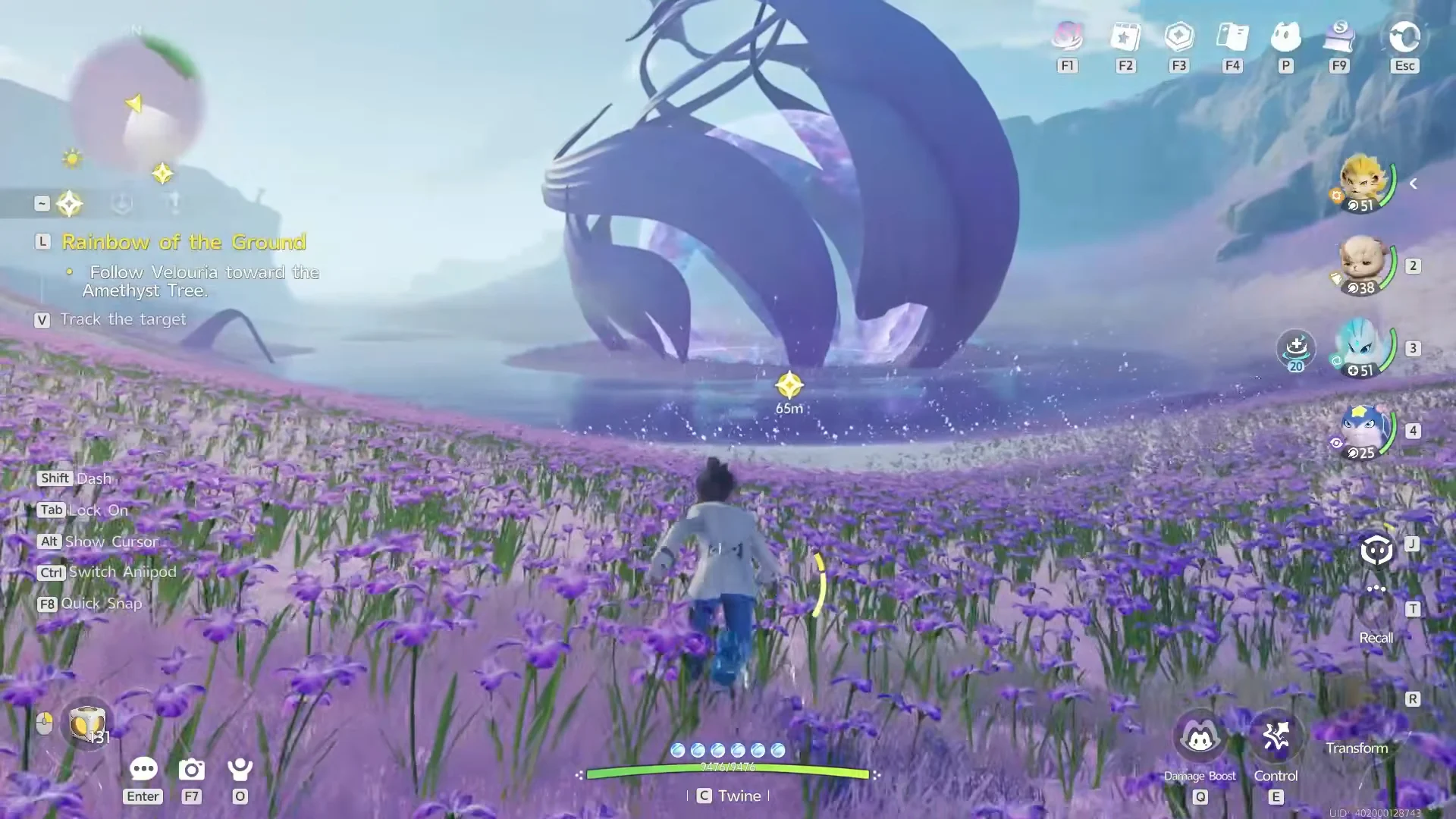 Approaching the Amethyst Tree