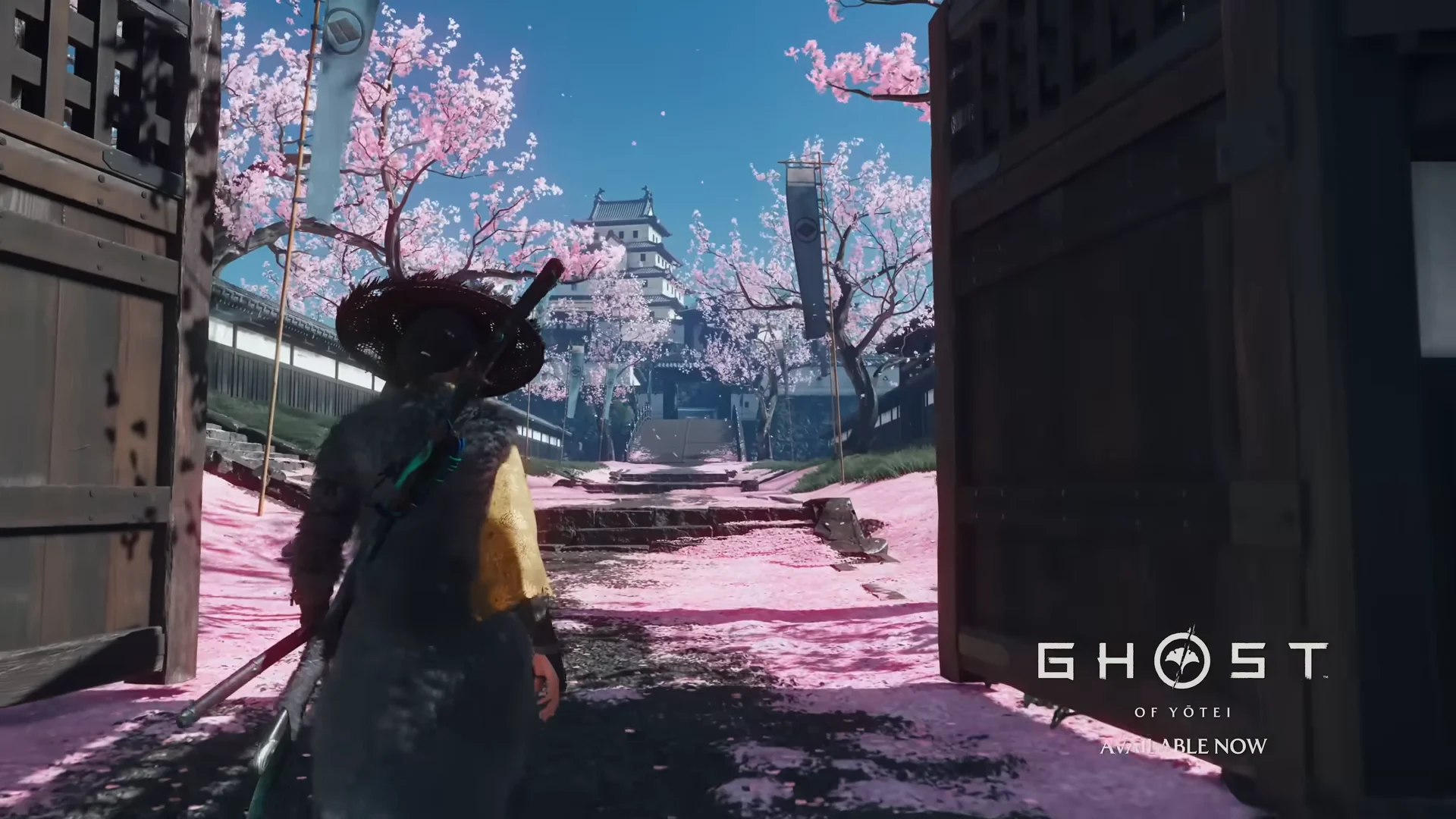 Cherry blossom castle path