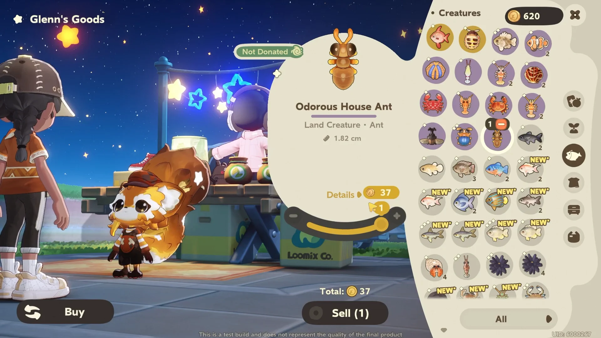 Odorous House Ant