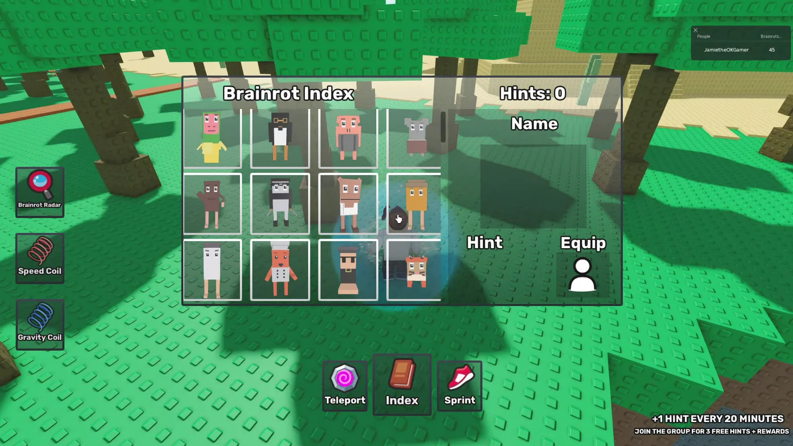 Checking Index and Hint Shop