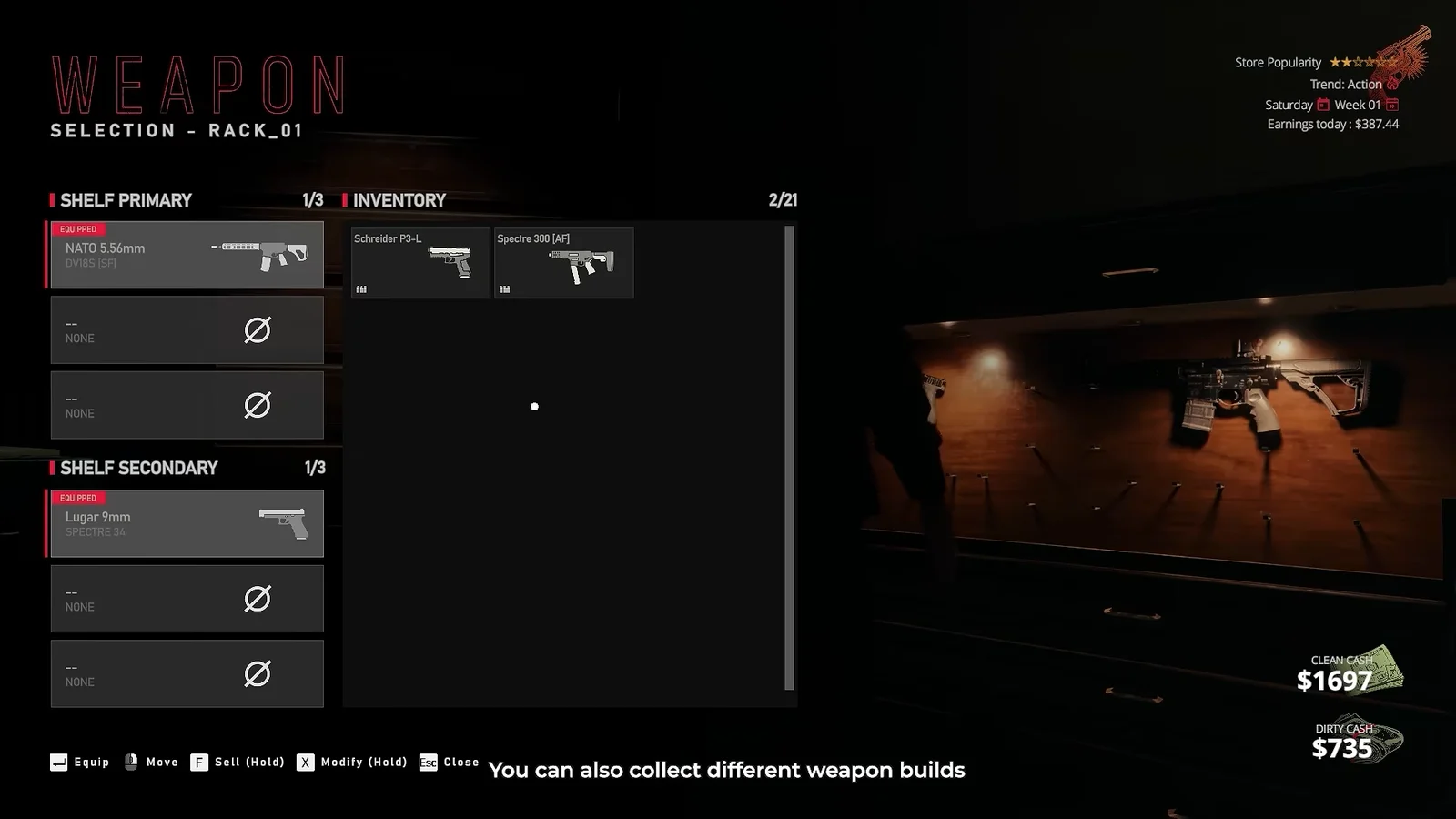 Weapon Customization & Storage