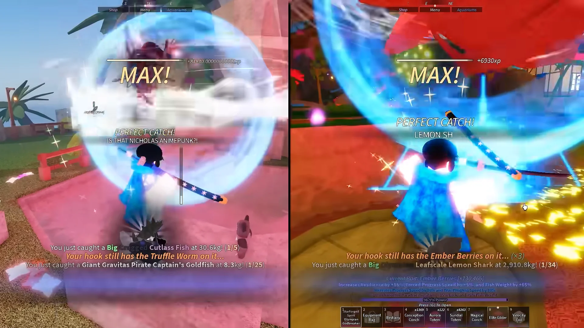 Fast-forwarded fishing comparison