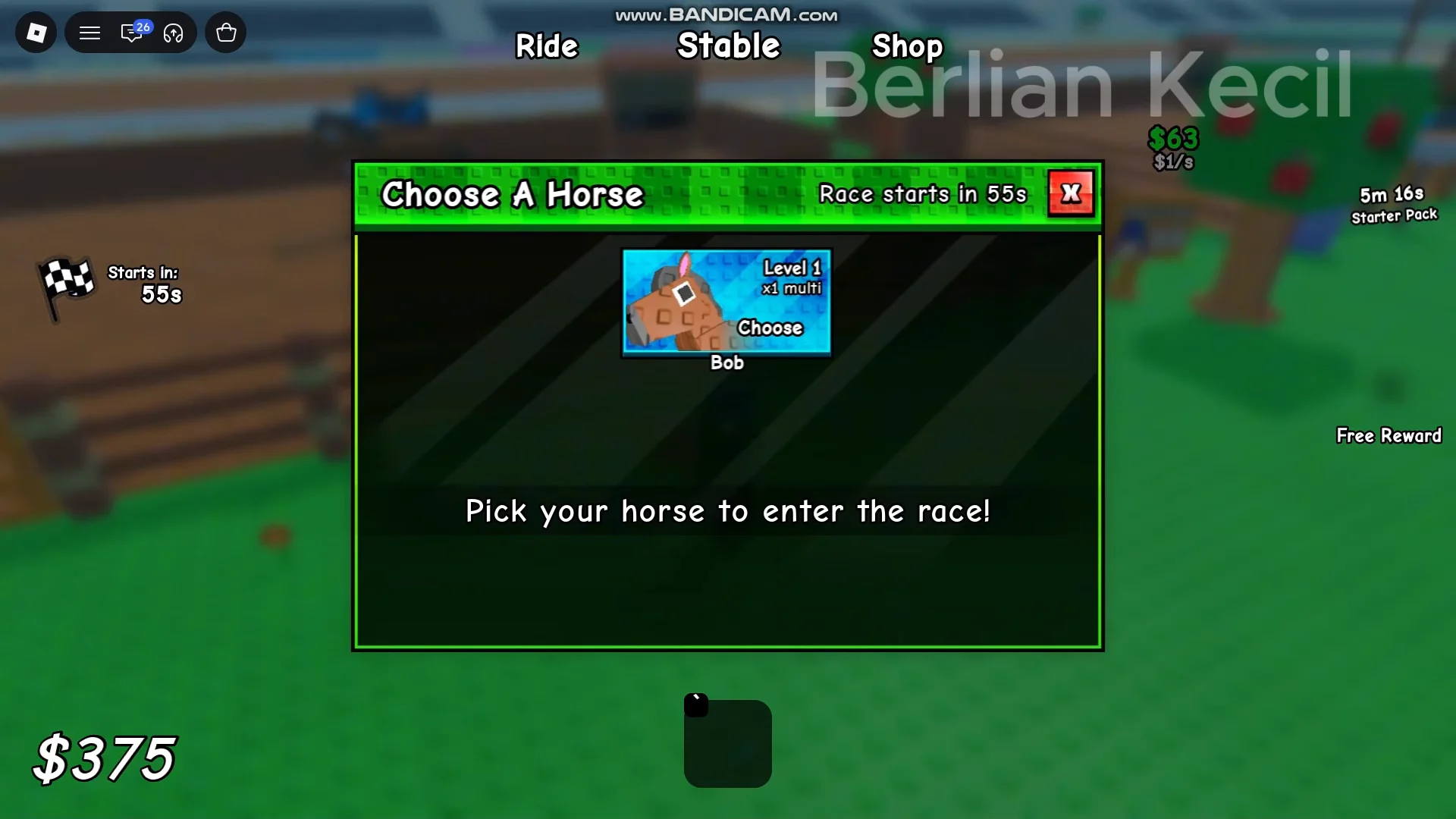 Entering Race