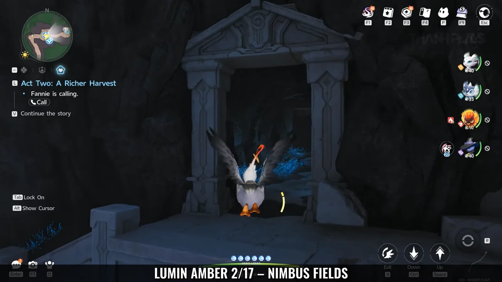 Lumin Amber 2/17