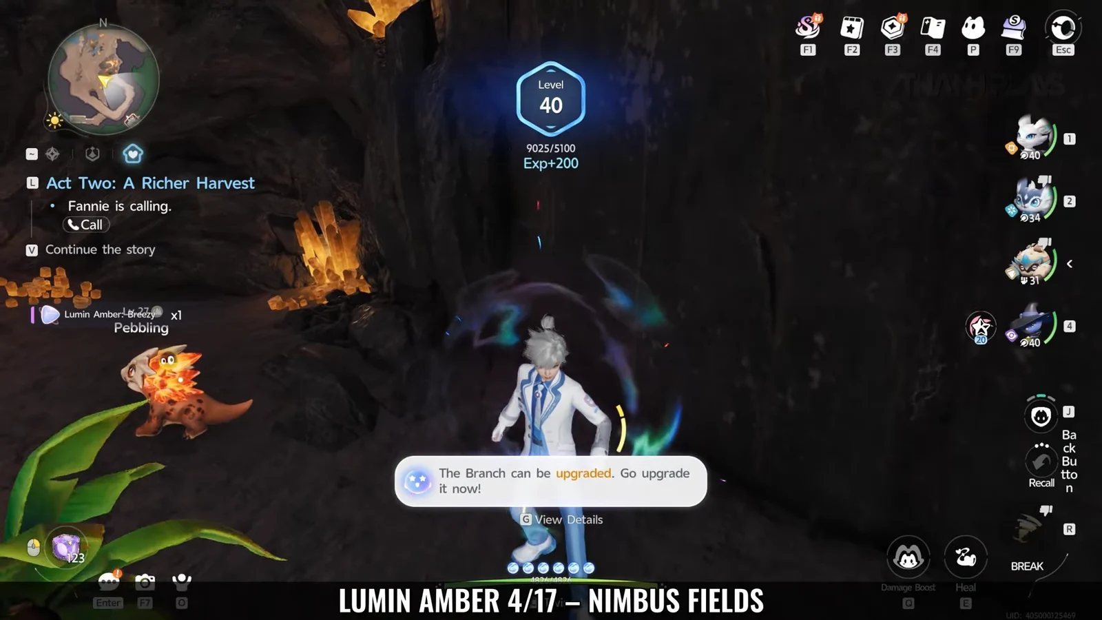 Lumin Amber 5/17