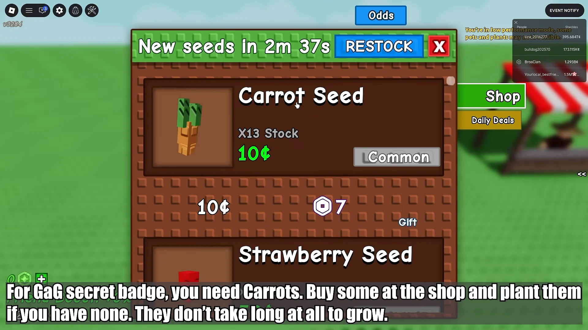 Buying Carrot Seeds