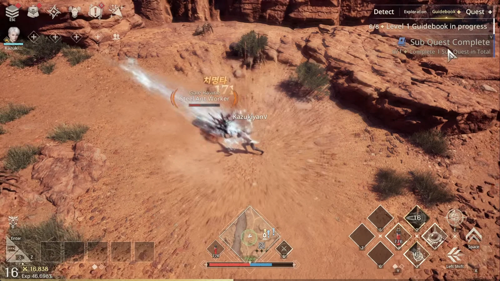Desert Combat and Item Usage