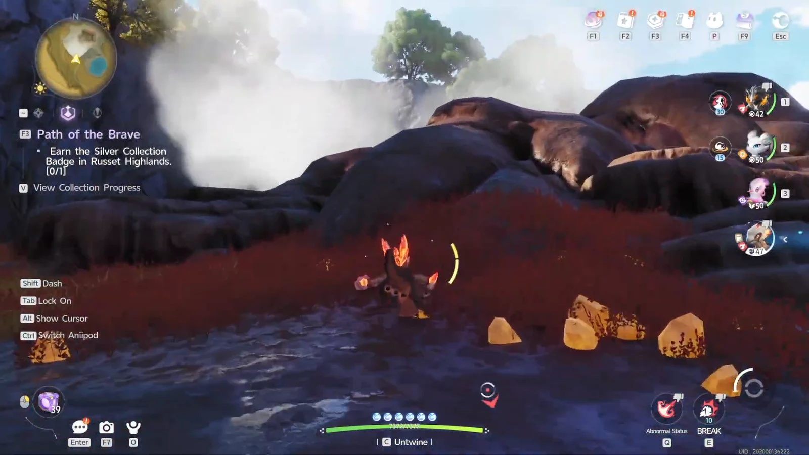 Entering the Geyser