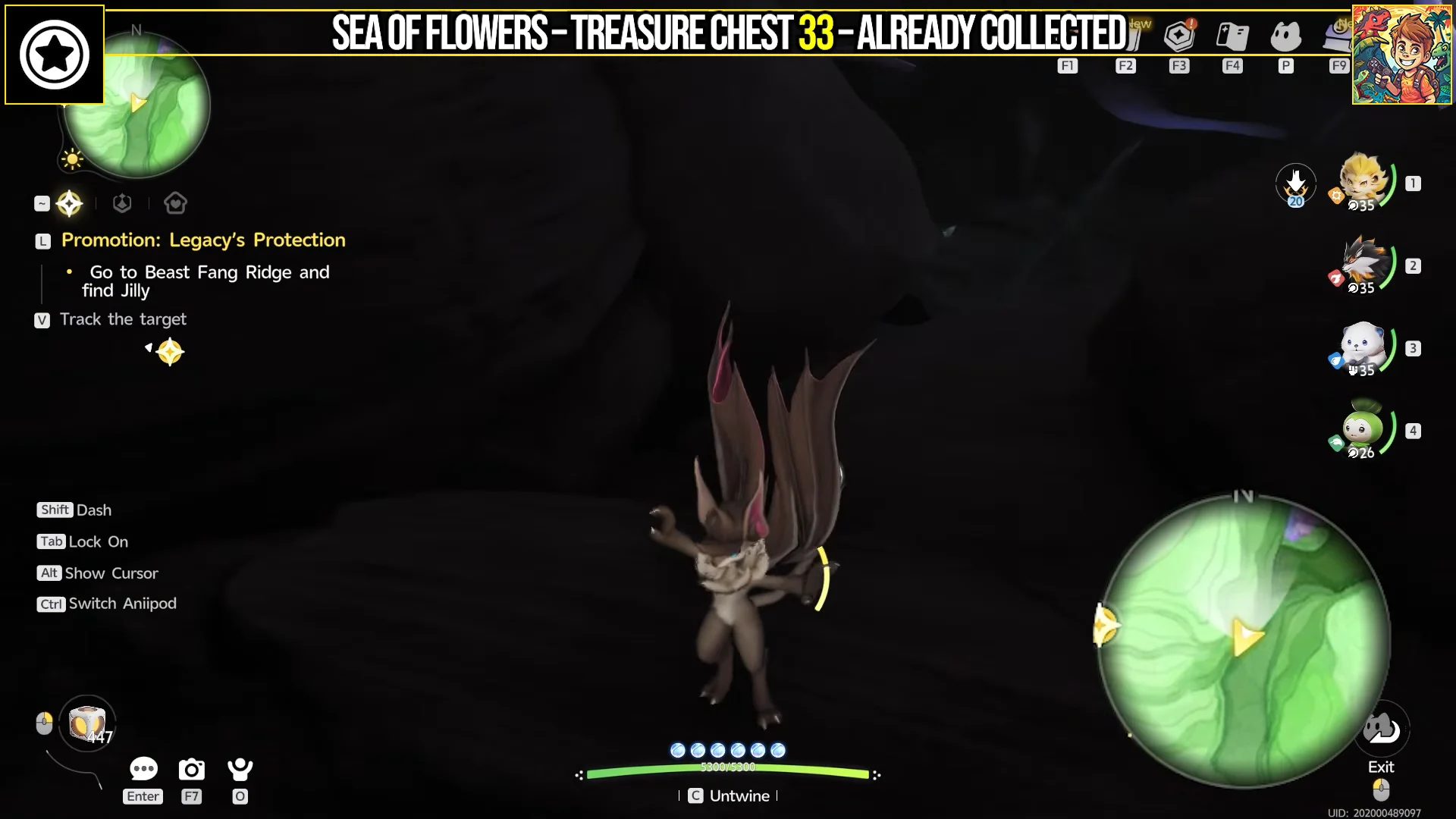 Treasure Chest 33