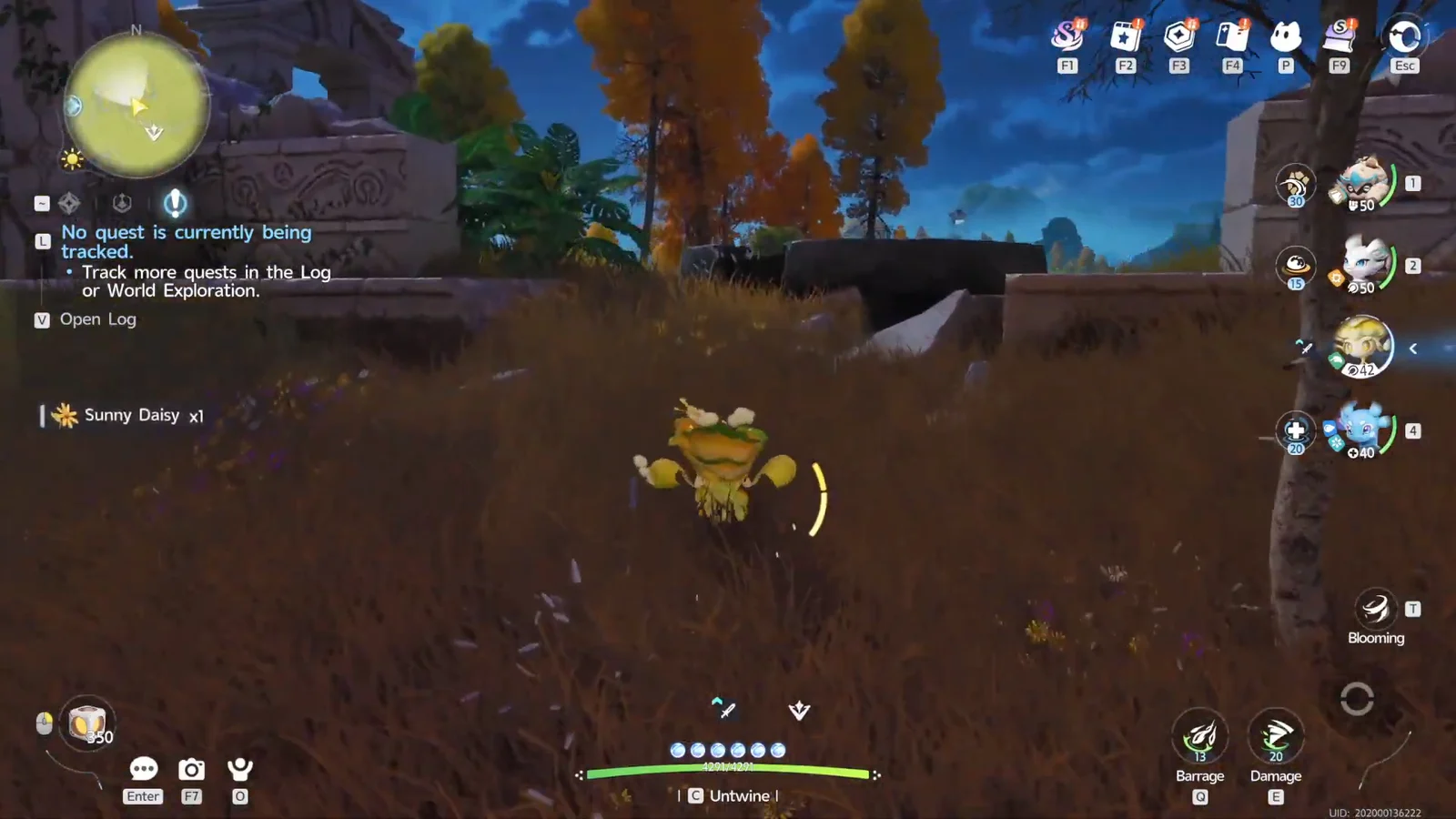 Exploring Blitzwood