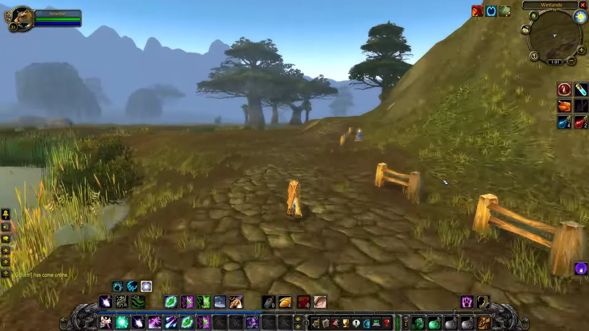 Journey Across Wetlands