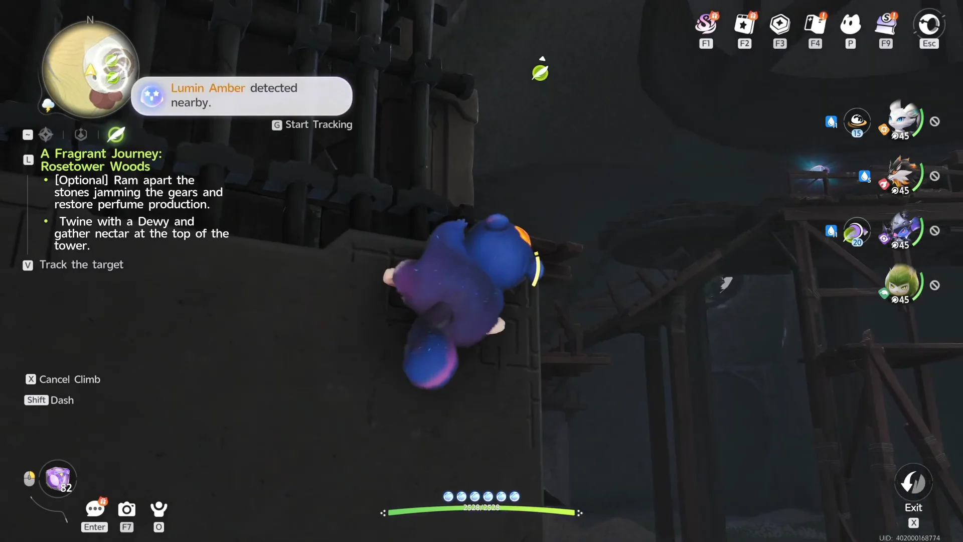 Climbing to Upper Platform