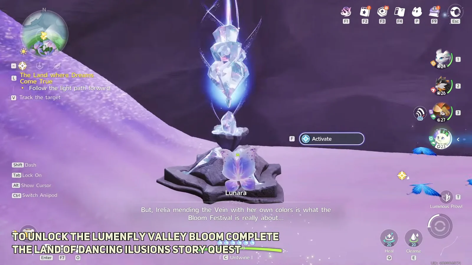 Reaching Lumenfly Valley Bloom